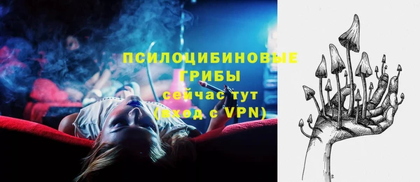 хмурый Белокуриха