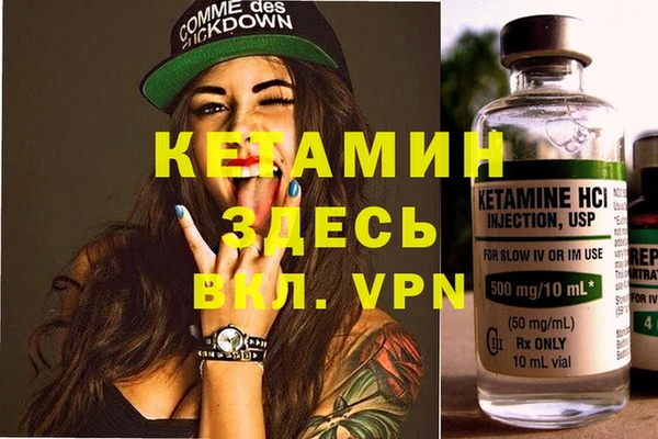 хмурый Белокуриха
