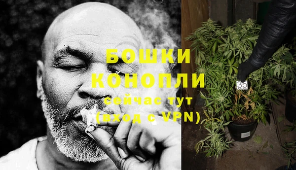 хмурый Белокуриха