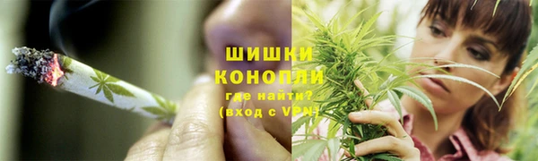 крисы Белоозёрский