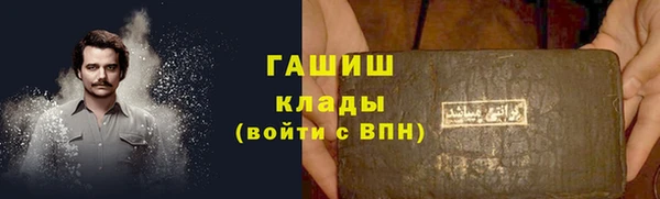 хмурый Белокуриха