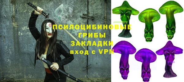 крисы Белоозёрский