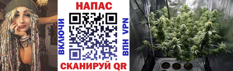 МАРИХУАНА конопля  Купить  Балей 
